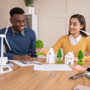 Domestic Energy Assessor (DEA)