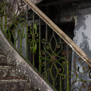 Level 2 Understanding Damp and Mould in Domestic Dwellings